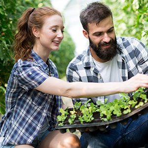 Man and woman gardening